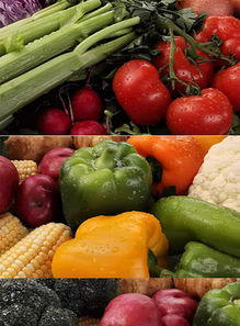 各种蔬菜瓜果农副产品视频图片设计素材 高清模板下载 81.89MB 生产制造大全